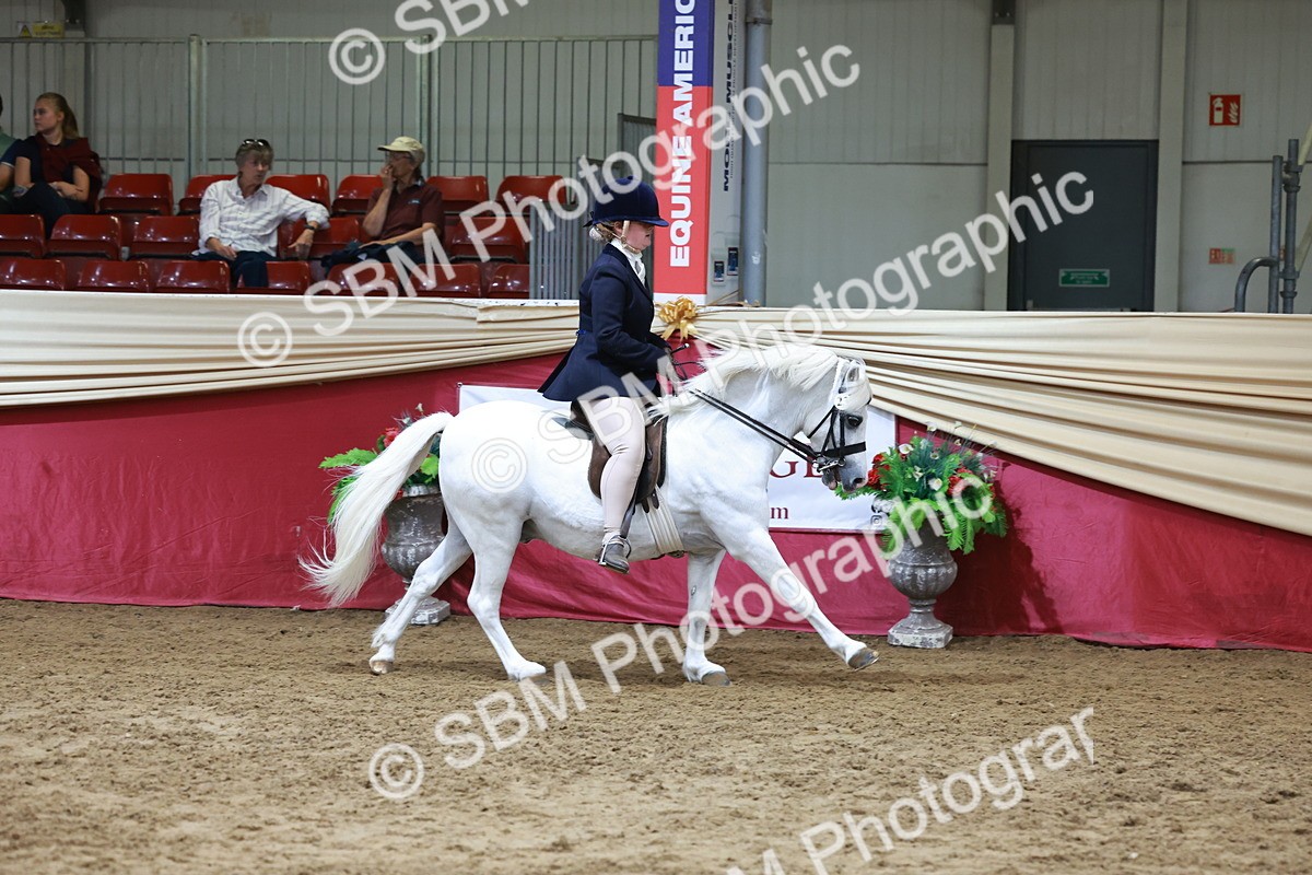 SBM_18561 - Class 952 - M&M Ridden Supreme Final
