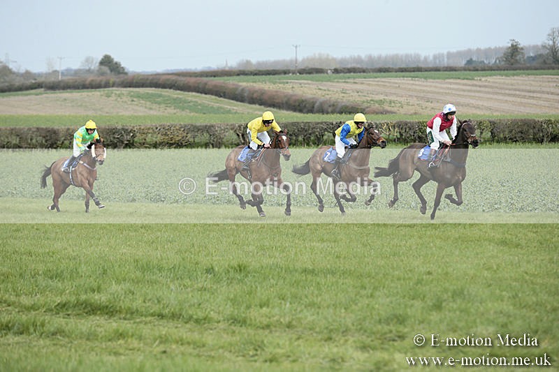 PtP 230319 34 - VWH Hunt Siddington Point-to-Point Racing 23/03/19