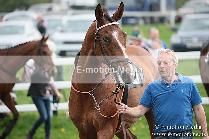 PtP 210418 165 - South & West Wilts Point-to-Point Larkhill 21/04/18