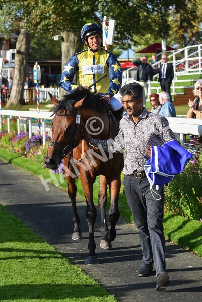 yr08102021r4-43 - Race 4 3.50pm Casumo Dare To be Different Handicap