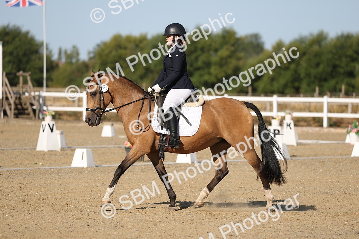 SBM_012616 - Class 1 - P5 Bronze 9.00.10.12