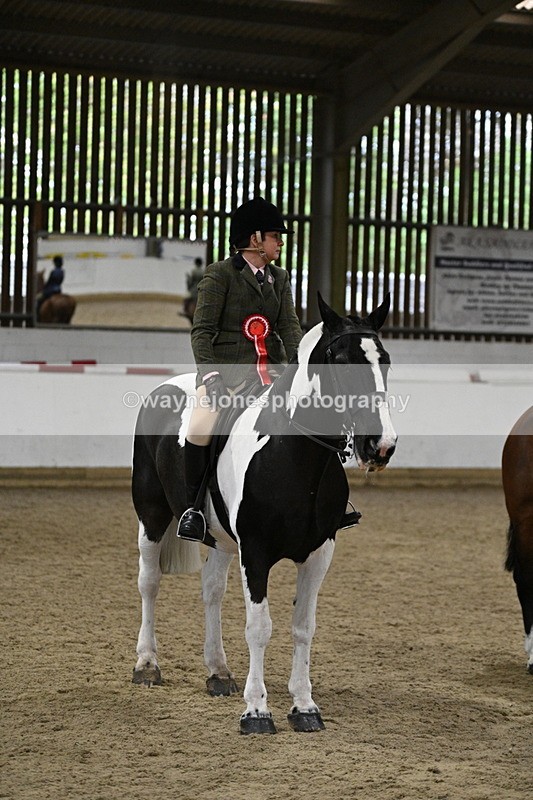 WJ7_4345 - Class 17 Ridden Cob