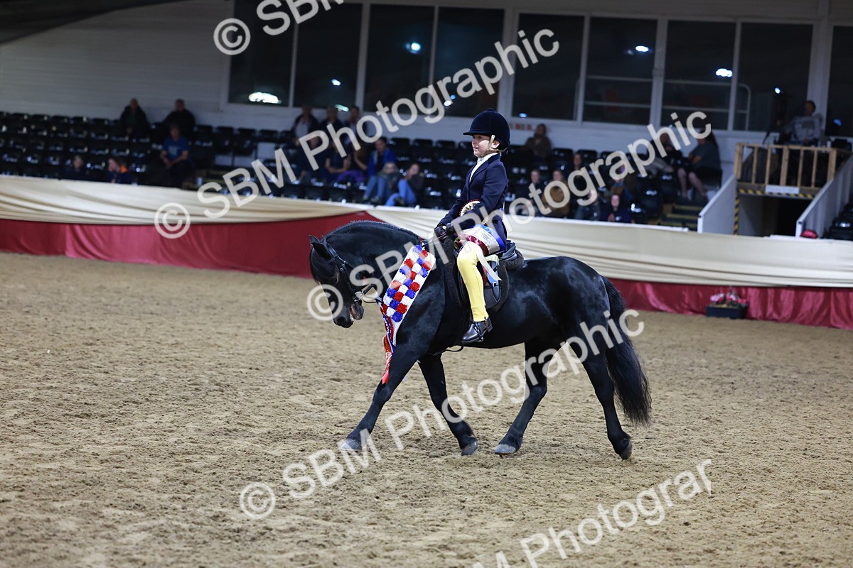 SBM_21398 - Class T - Working Veteran Champs