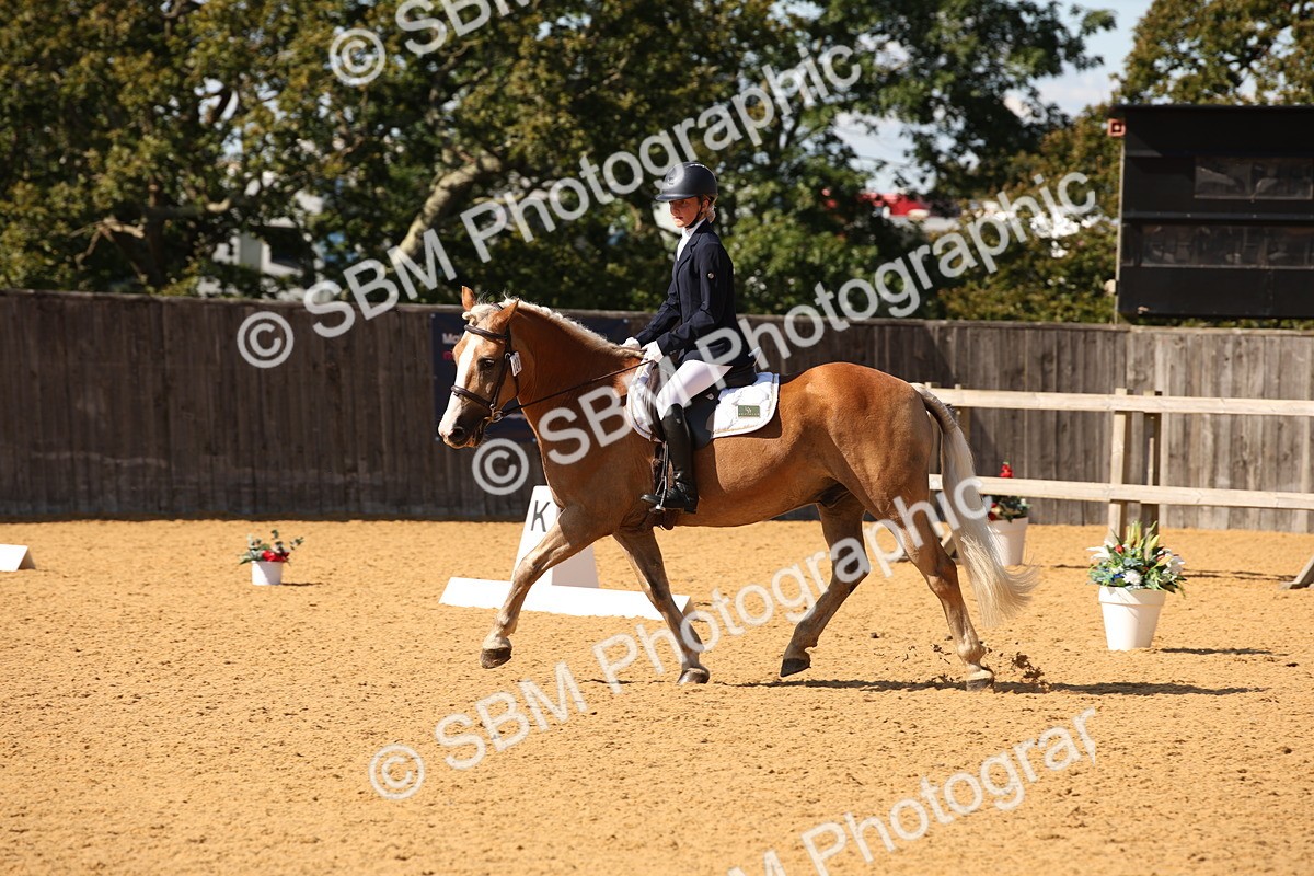 SBM_24251 - D5 - Small Tour Championship - Intro C