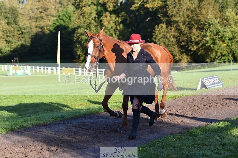 231022-091946-21705 - 663-GROOVY.GUY-Hannah.Watson-TrotUp+SJ