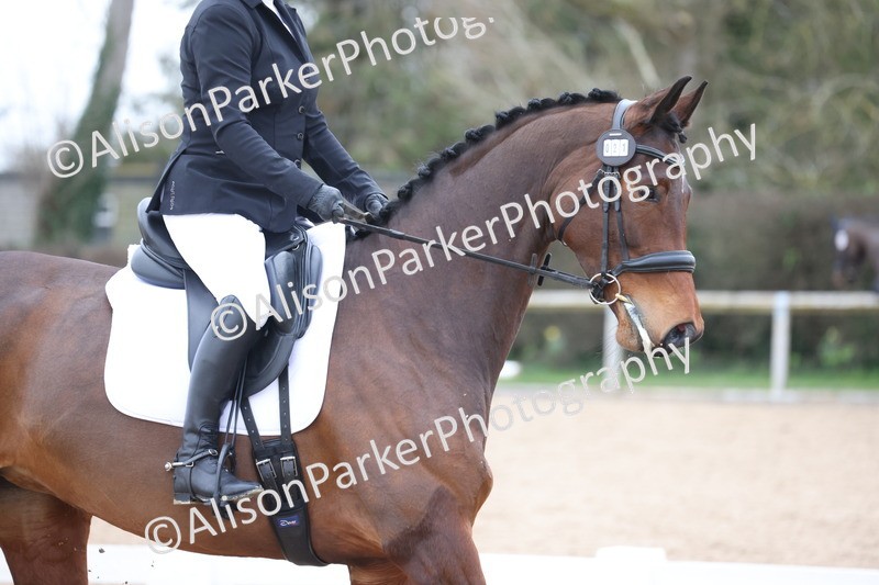 20260301-0432 - Class 3 - Novice 4