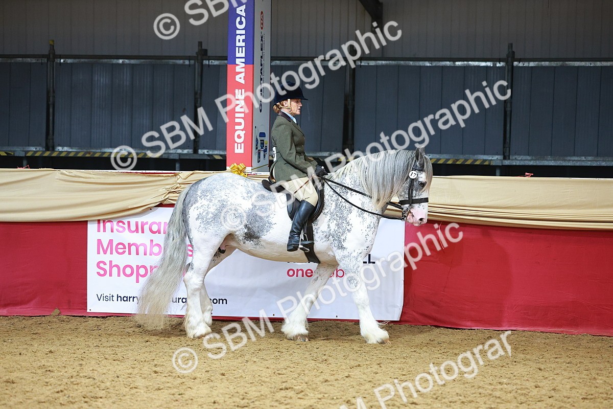 SBM_12387 - Class 103 - HOYS Veteran Qualifier - Ridden Pre Vet