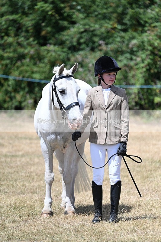 WJ7_2171 - Class 5 Most Handsome Gelding (up to 14.2hh) in hand