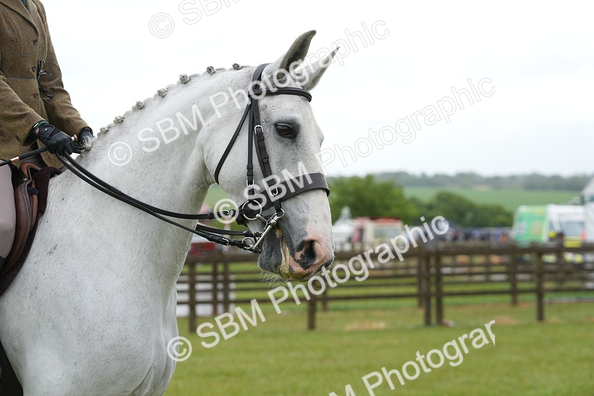 SBM_12686 - Class 97-98 - LIHS BSHA Rising Star Working Show Horse Hunter