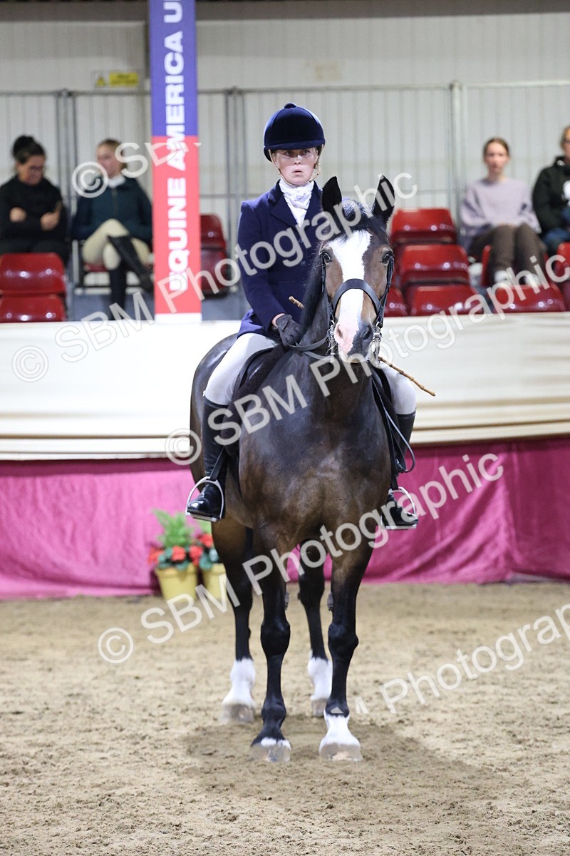 SBM_21405 - Class T - Working Veteran Champs