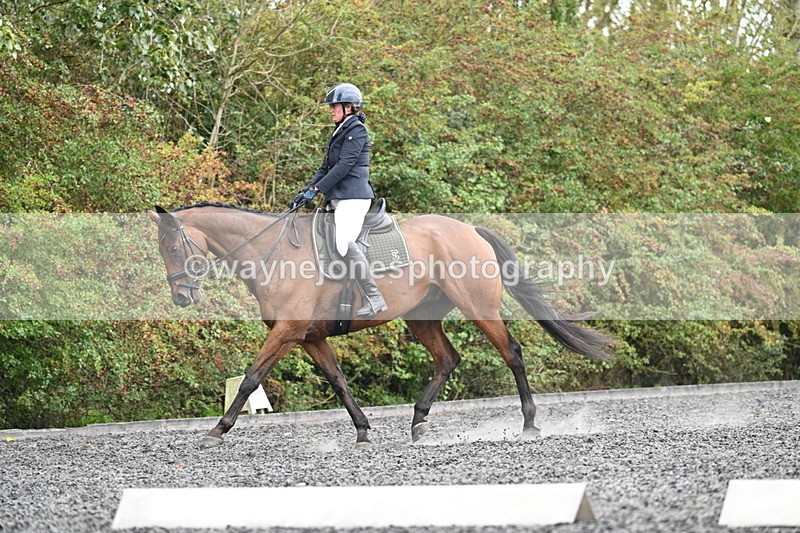 WJ7_6174 - Time 14:10 to 14:45