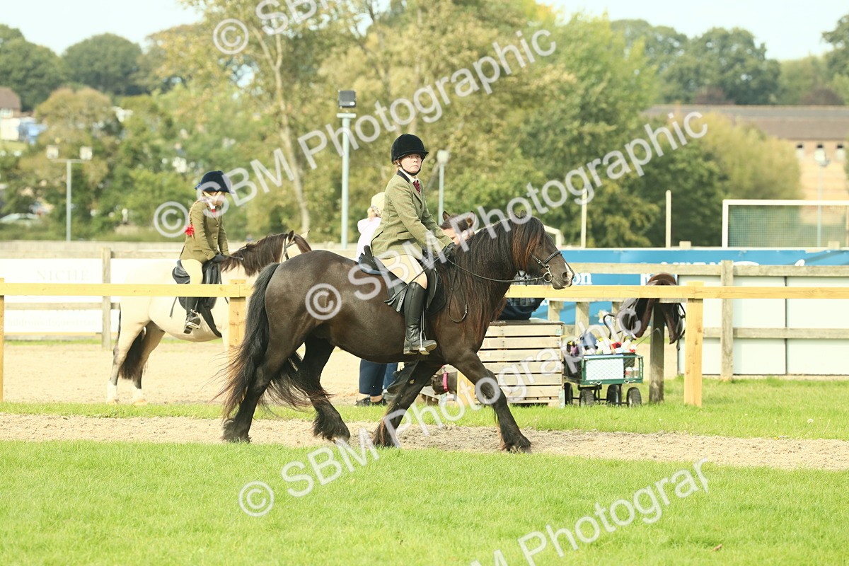 SBM_69346 - S58 - Mini Show Cob Ridden