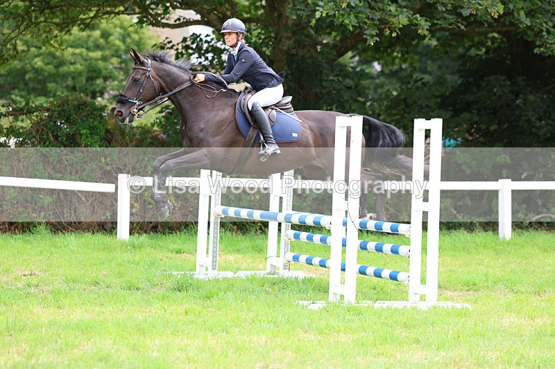 3E7A7340 - Class 5: Senior British Novice/90cm open