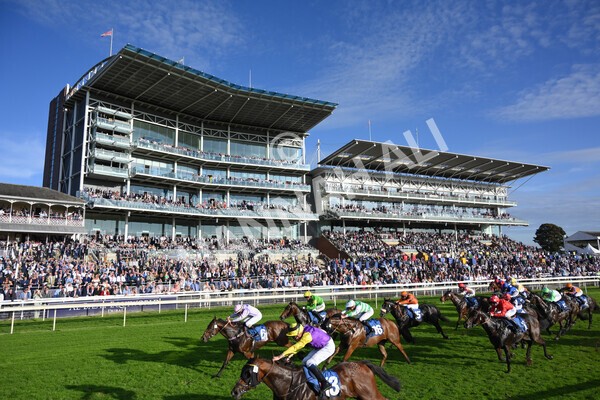 yr08102021r5-17 - Race 5 4.20pm Copper Knight - Winning Most Horse At York Handicap