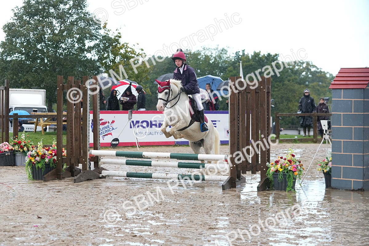 SBM_36312 - J5 - Junior Pony 50cm Championship