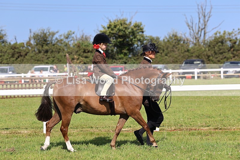 IMG_1702 - Class 31: Lead Rein SP/SHP