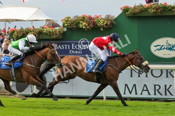yr04092022p2-34 - 12.50pm. 148cm Open Pony Race