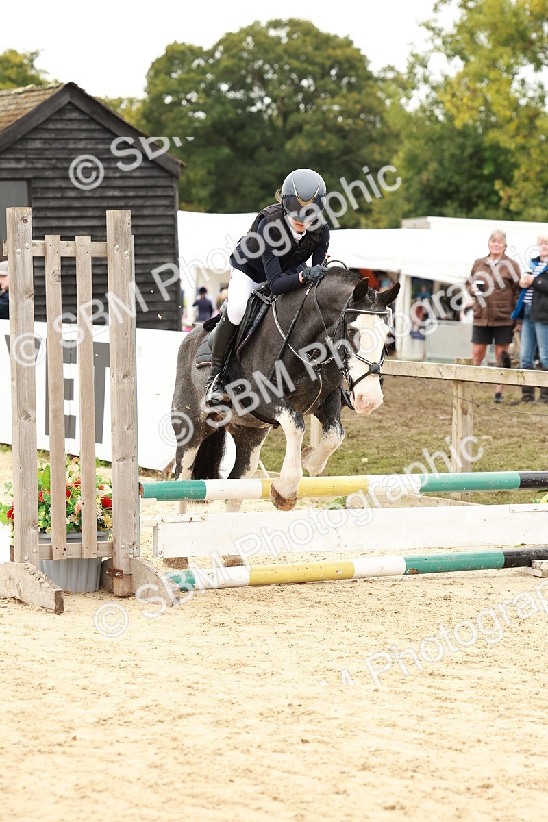 SBM_61896 - J12 - Junior Pony 55cm Championship