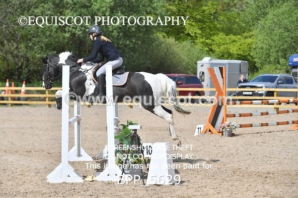 BPP_5629 - CLASS 24 SUN Senior BritiNovice/ 90cm Open