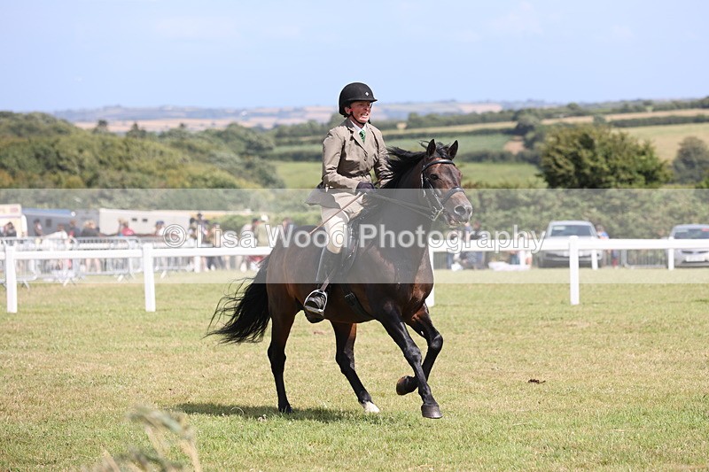 JPP_2180 - Class 19: Working Hunter 60cm