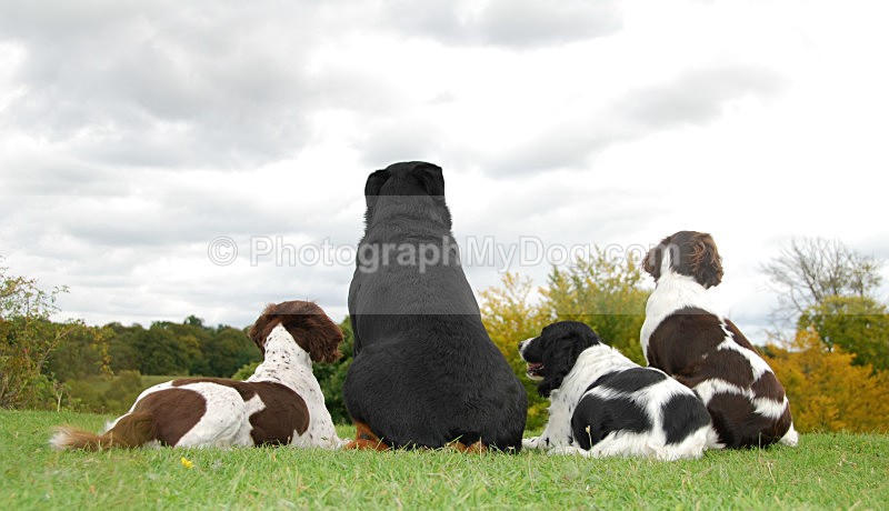  - Group Shots