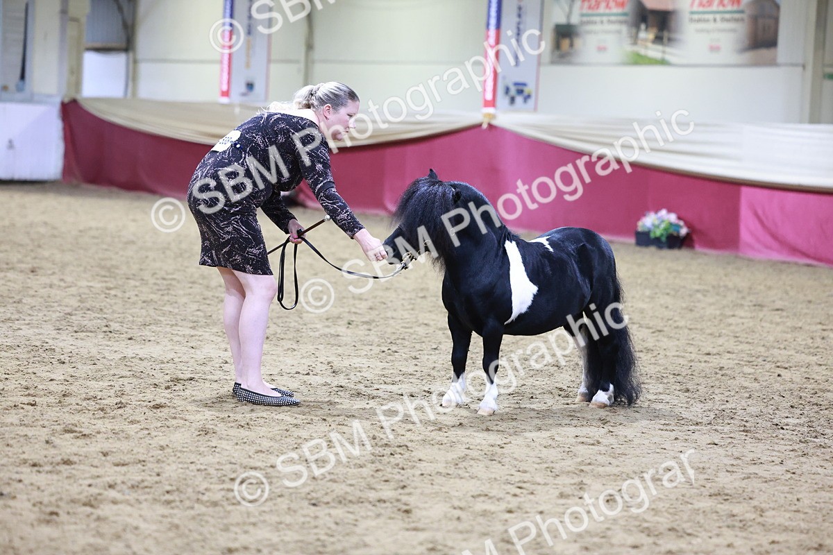 SBM_20837 - Class L - Coloured Champ