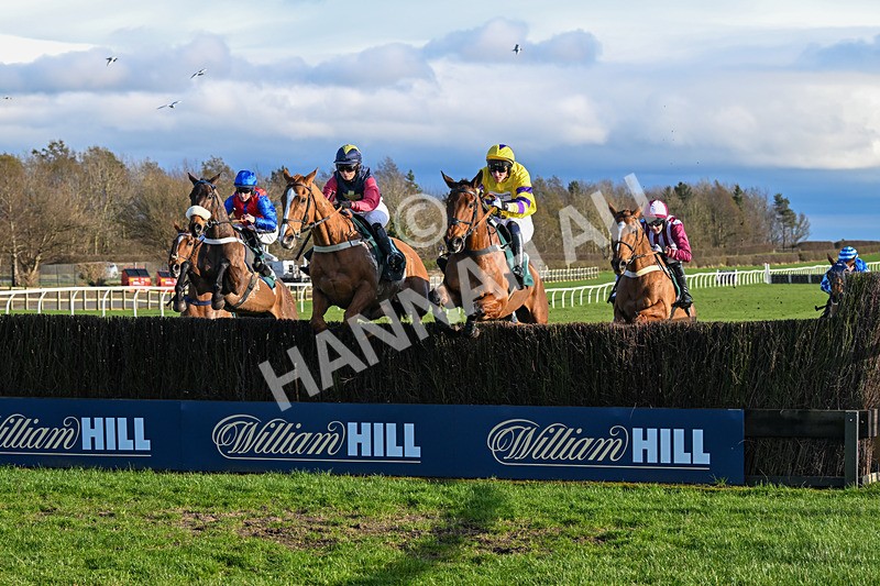 270224-Race 3-Chase A Fortune-3348 - Race 3