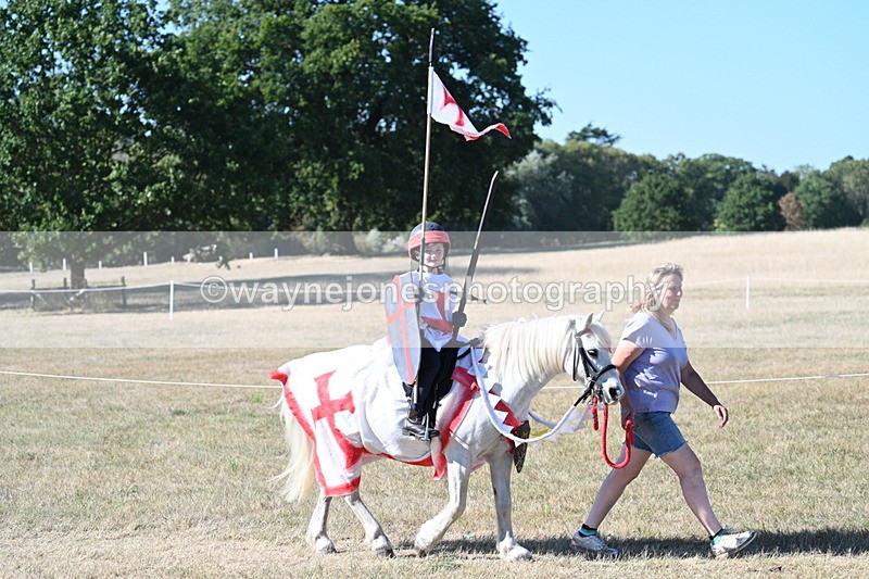 WJ7_2448 - Class 45 Fancy Dress (My Fav)