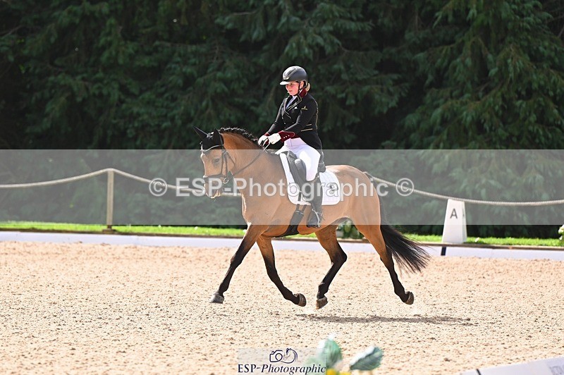 240809-104410-00370 - 173-Daisy.Winkle-Decandro.Hit.LDS