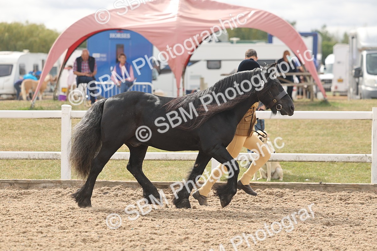 SBM_04930 - Class 20 - IH Veteran