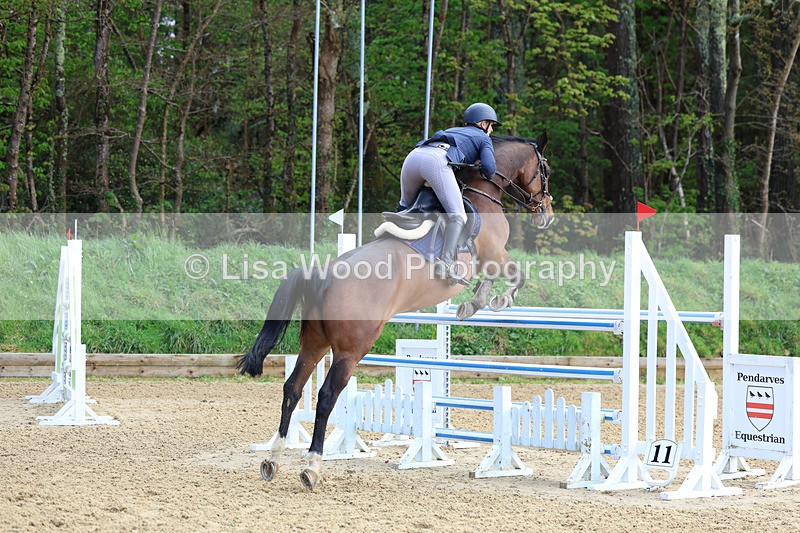 3E7A2151 - Class 8: Senior Foxhunter/1.20 open