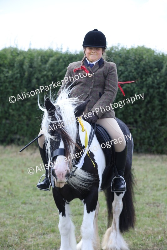 20250831-4358 - Class 20 - Ridden Coloured