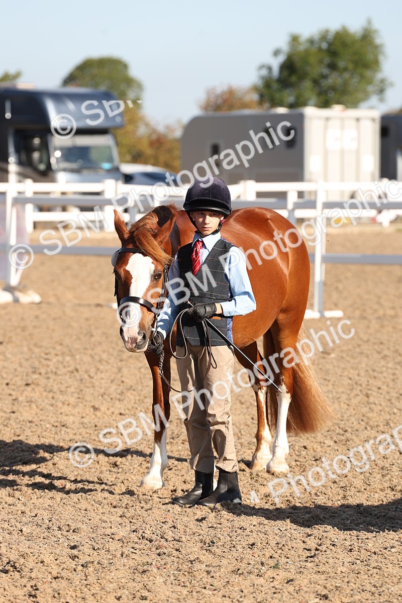 SBM_11665 - Class 203 - Young Handler 11 to 16 years