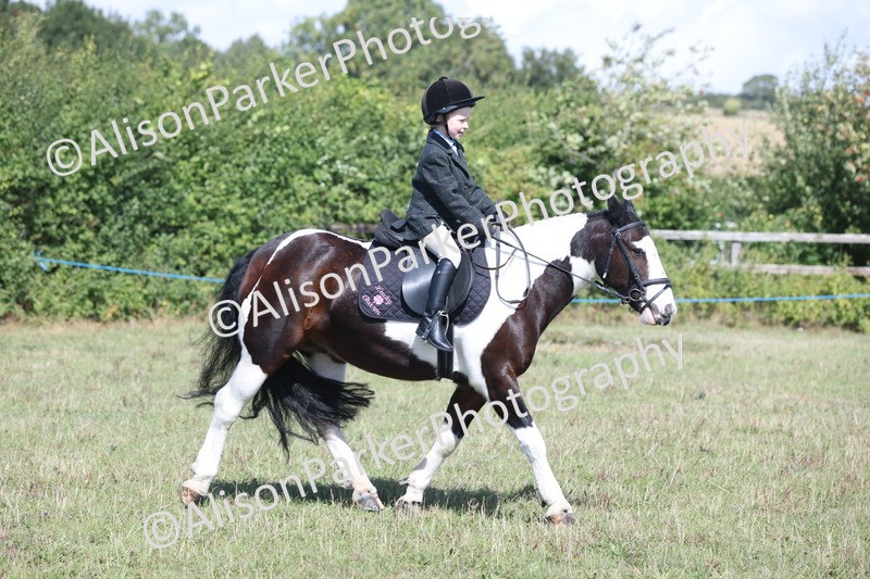 20250831-2579 - Class 16 - Family Pony