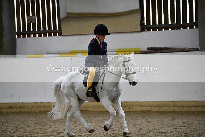 WJ5_7208 - Class 11 Ridden PC - RC Pony