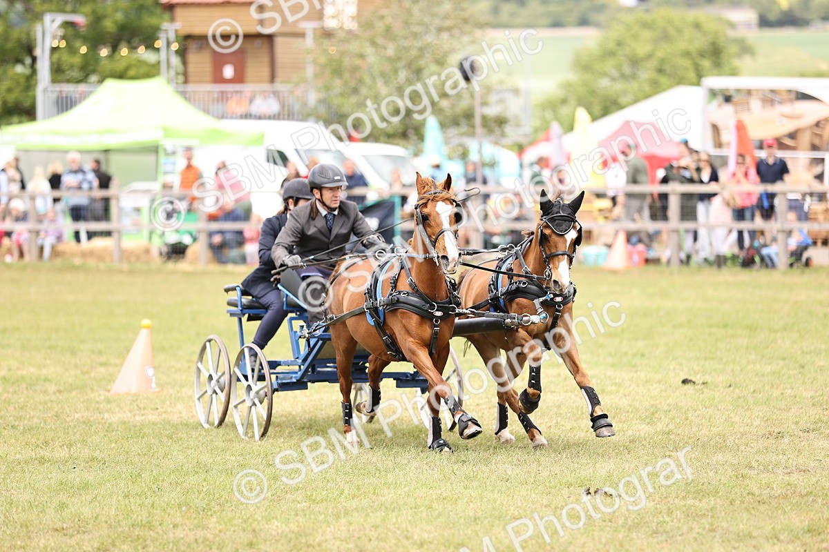 SBM_16006 - Class 91 - Scurry  exceeding 122cms