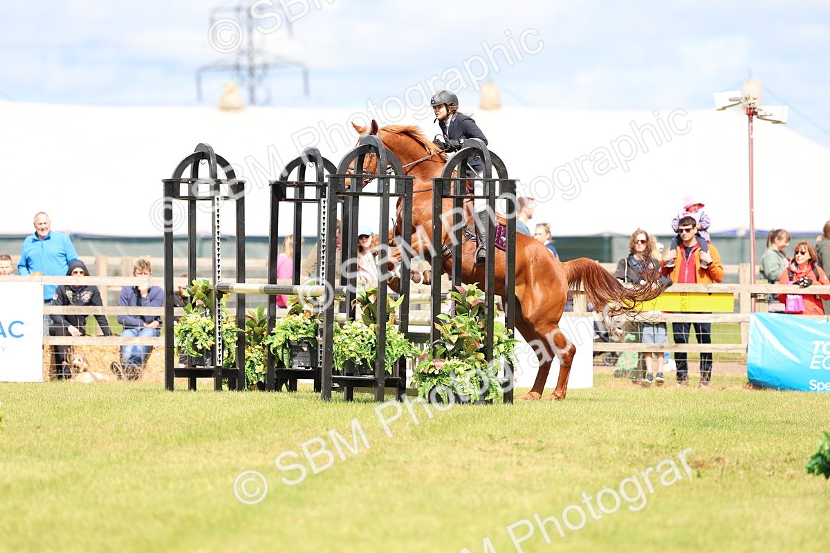 SBM_13401 - Class 206 - Senior Newcomers - 1.10m Open