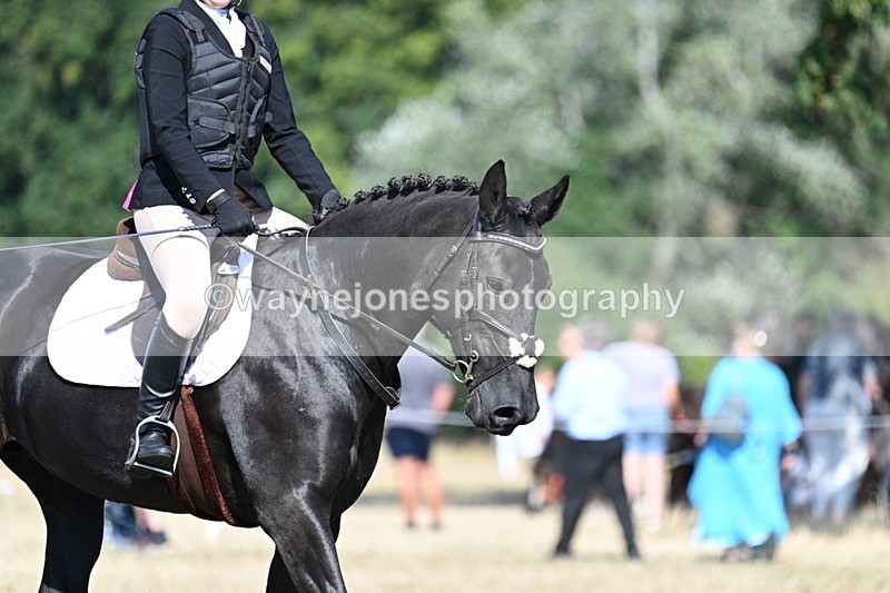 WJ7_9459 - Time 10:32 to 10:55