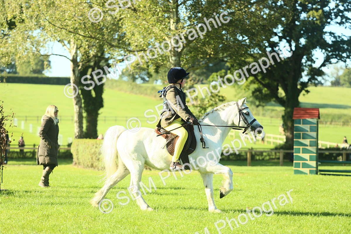 SBM_36300 - S29 - Novice & Newcomers Working Hunter Pony