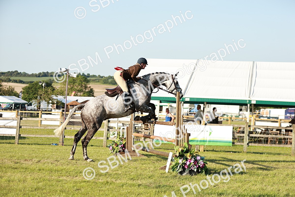 SBM_20354 - Class 117-119 - Sport Horse Working Hunter