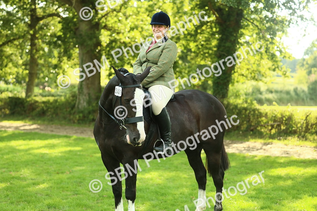 SBM_52197 - S33 - Working Hunter & Working Show Horse