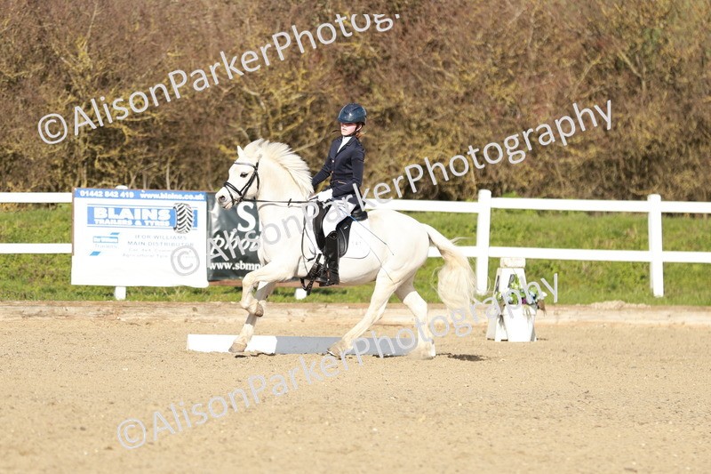 20260314-4521 - DR4 - Prelim 2