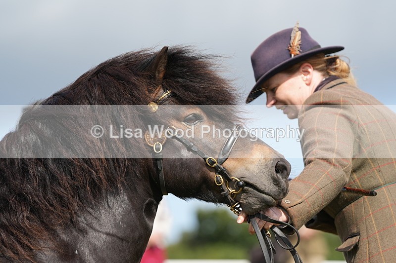 DSC05318 - Class 49: NPS Shetland 4 years and over