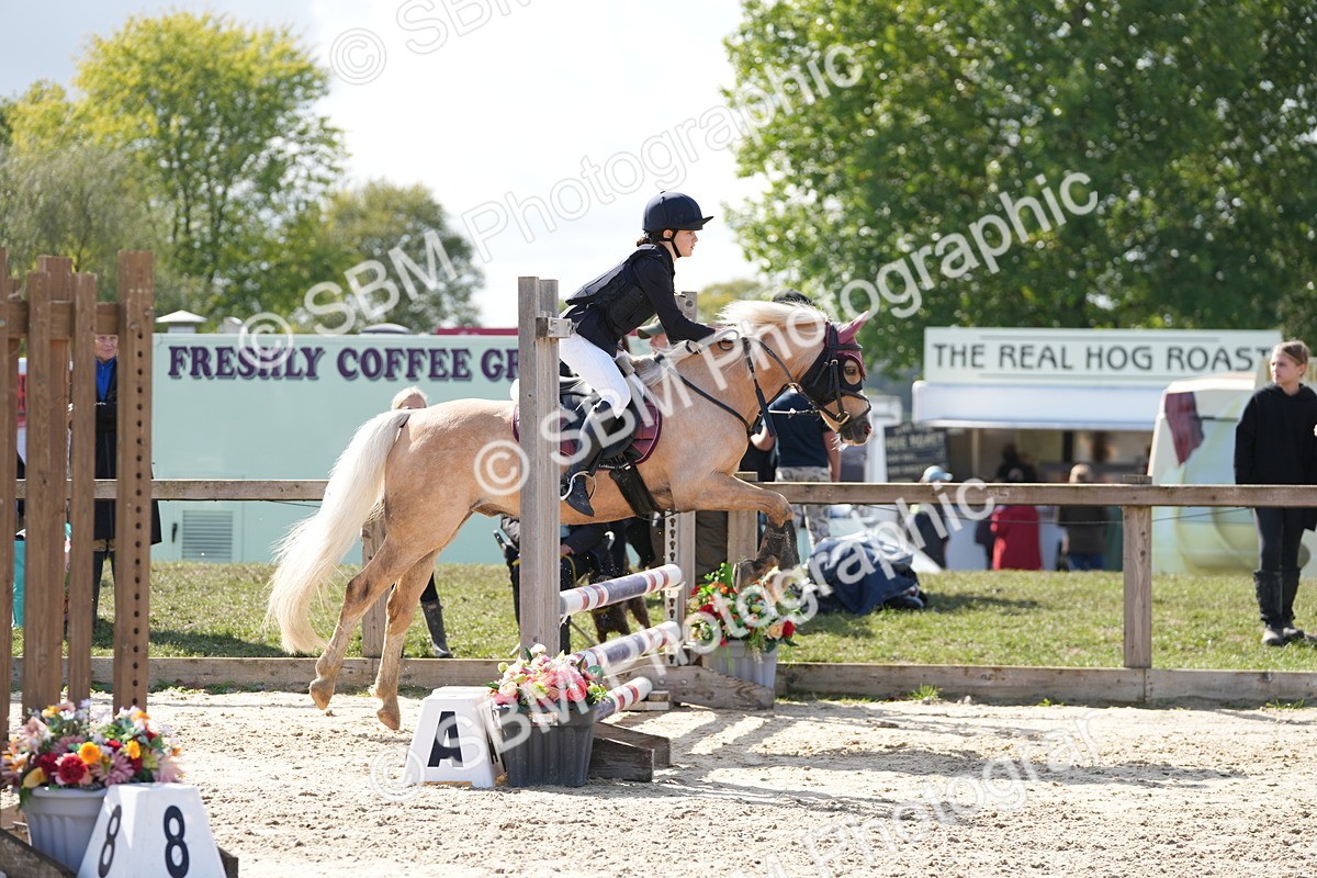 SBM_46674 - J7 - Junior Pony 60cm Championship