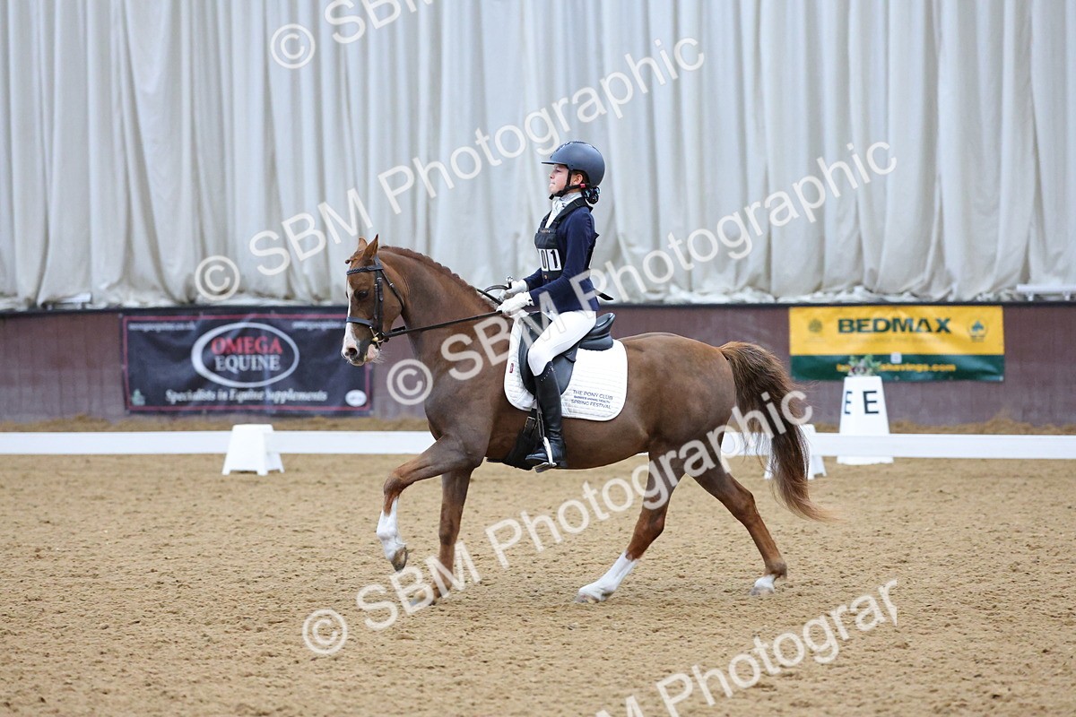 SBM_003676 - Novice