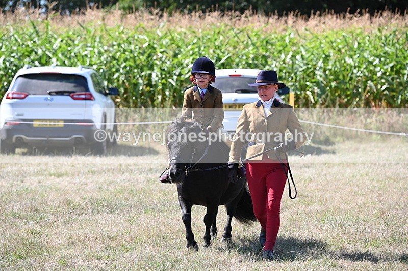 WJ6_8111 - Class 36 Lead Rein
