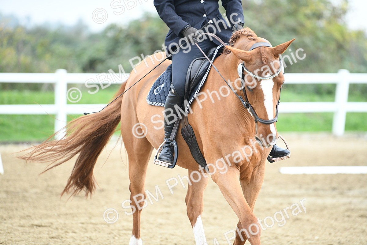 LAD_3734 - Novice Test 2