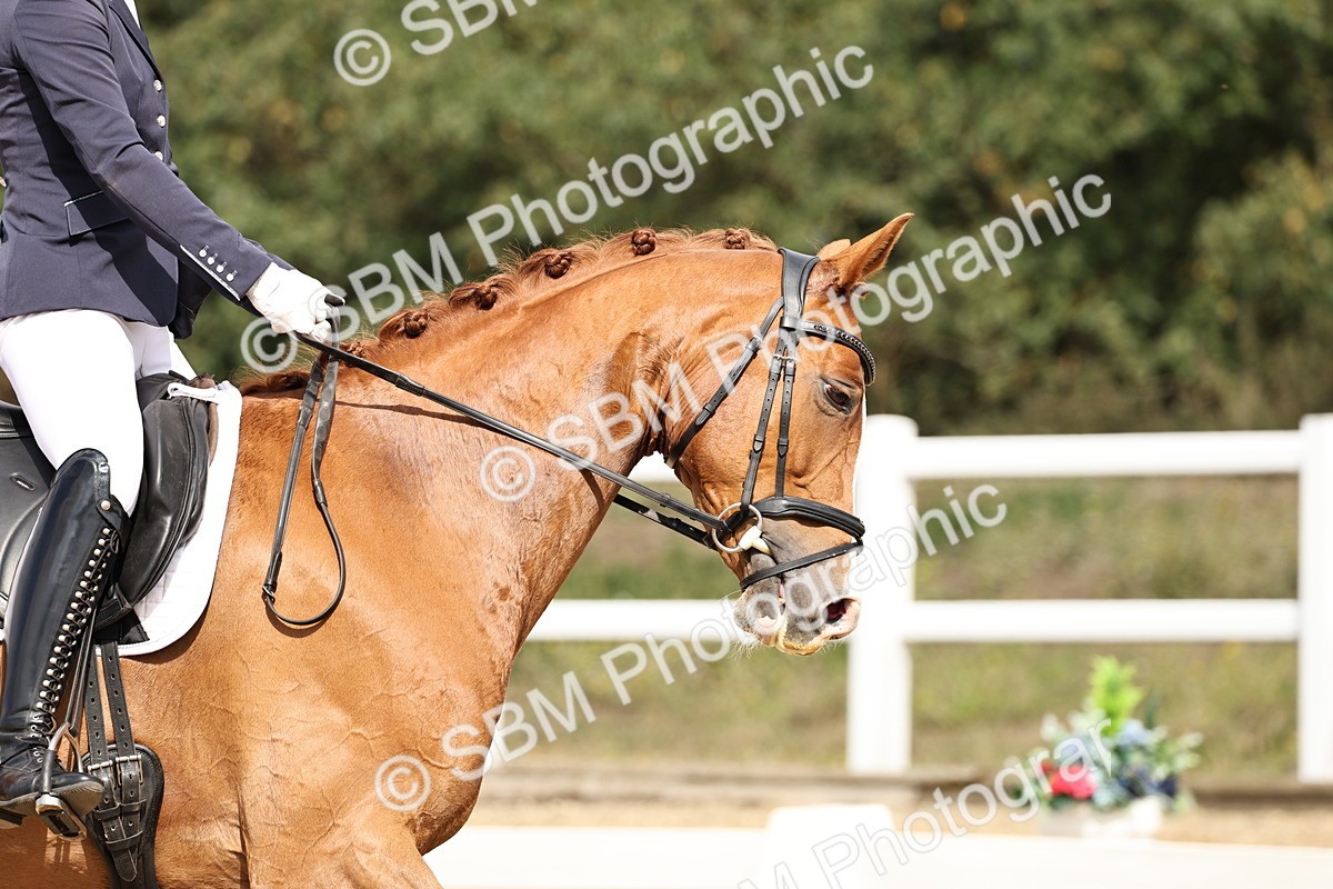 SBM_018321 - Class 16 - Novice 5 - 11.12-12.01