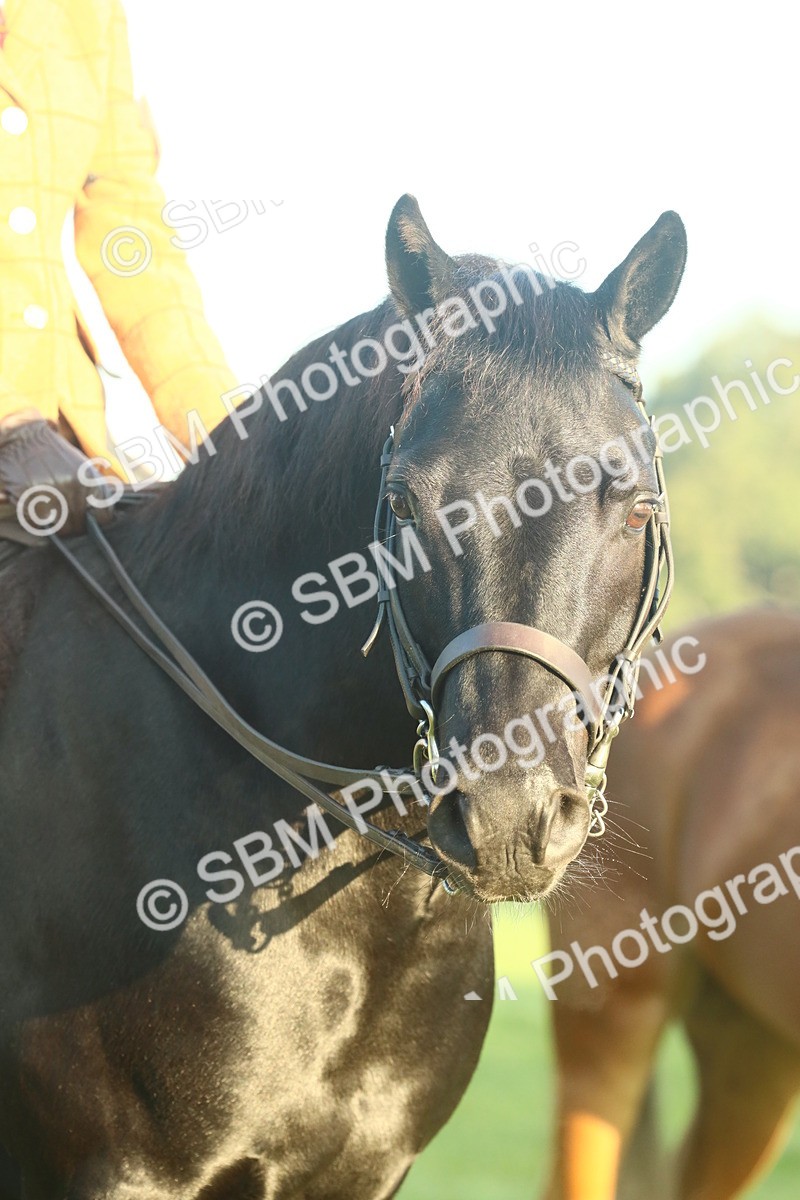 SBM_56635 - S36 - Starters Best Turnout