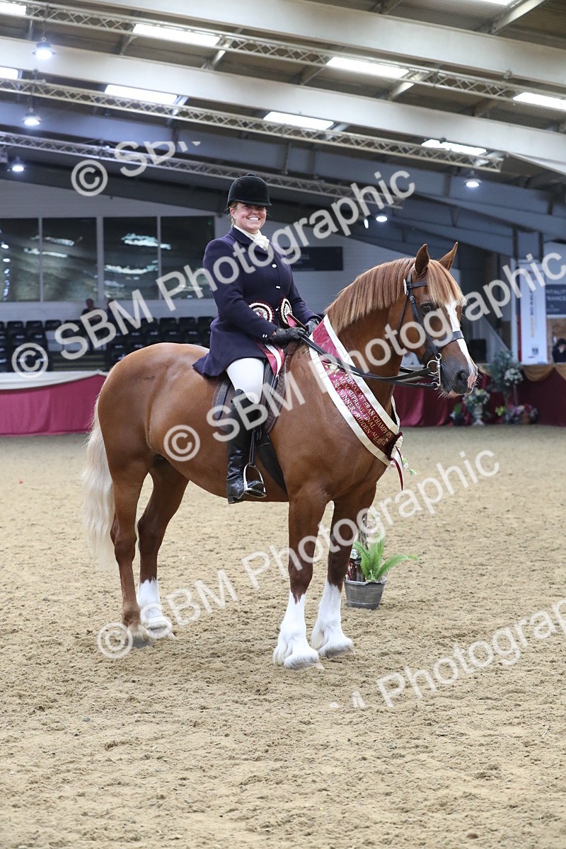 SBM_16537 - Class 502 M&M Ridden Supreme Final